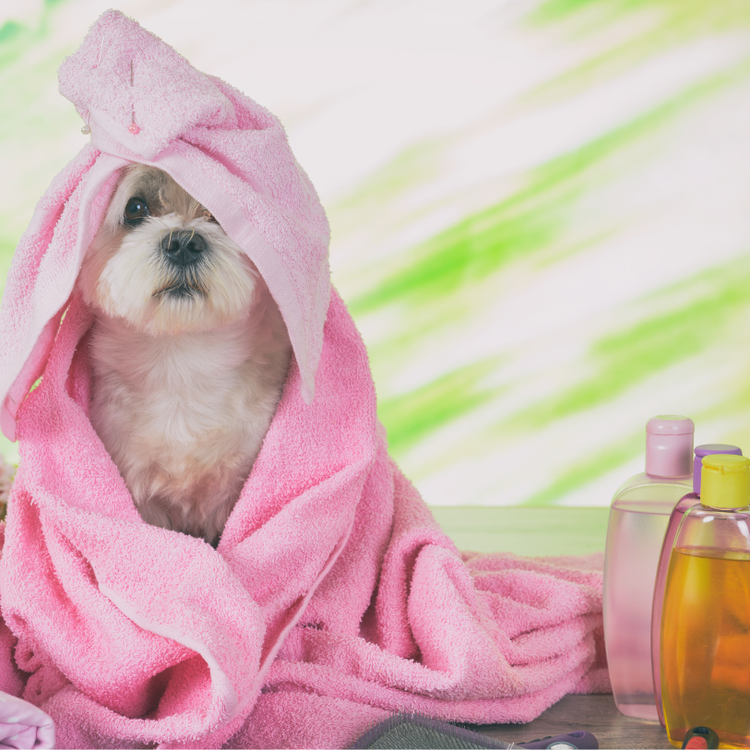 Lux Fur Treatments